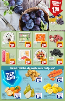 Kartoffeln im aktuellen REWE Prospekt (Kassel) Kartoffeln im REWE Prospekt "Dein Markt" mit 32 Seiten (Kassel)