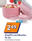 Action Cuxhaven - Amalfi Lunchbecher To Go Angebot im Prospekt Amalfi Lunchbecher To Go bei Action im Cuxhaven Prospekt für 2,49 €
