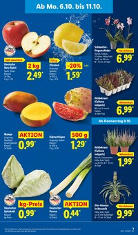 Pflanzen im Lidl Prospekt "LIDL LOHNT SICH" mit 70 Seiten (Solingen (Klingenstadt))