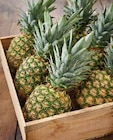 Promo Ananas à 1,49 € dans le catalogue Intermarché à Eysines