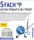 5-FACH PAYBACK Punkte bei Netto Marken-Discount im Hohnhorst Prospekt für 