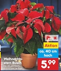 Netto Marken-Discount - Weihnachtsstern Busch Angebot im Prospekt Weihnachtsstern Busch bei Netto Marken-Discount im Prospekt "" für 5,99 €