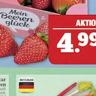 Rhabarber im Angebot bei Marktkauf in Erlangen Rhabarber Angebote bei Marktkauf Erlangen für 1,99 €
