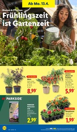 Gartenerde im Lidl Prospekt in Rheine Aktueller Lidl Prospekt mit Gartenerde, "LIDL LOHNT SICH", Seite 68