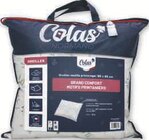 Oreiller "Printemps" 60x60cm moelleux - COLAS NORMAND - Super U à Clichy-sous-Bois Oreiller "Printemps" 60x60cm moelleux - COLAS NORMAND en promo chez Super U Clichy-sous-Bois à 9,03 €