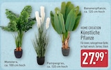 Künstliche Pflanze Monstera von Home Creation im aktuellen ALDI Nord Prospekt