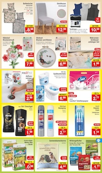 Blumen Angebot im aktuellen Zimmermann Prospekt auf Seite 3