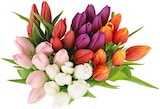 Tulpen im Angebot bei REWE in Kleve Tulpen Angebote bei REWE Kleve für 1,88 €