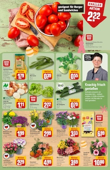 Blumen im REWE Prospekt "Dein Markt" mit 42 Seiten (Hamburg)