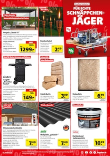 Briketts im Hagebaumarkt Prospekt "SCHNAPP DIR DIE SUPER DEALS" mit 8 Seiten (Lübeck)