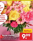 Bunte Vielfalt Angebote bei Netto Marken-Discount Pinneberg für 9,99 €