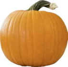 Halloween Kürbis im Angebot bei EDEKA in Worms Halloween Kürbis Angebote bei EDEKA Worms für 5,55 €