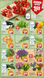 Aktueller REWE Prospekt mit Blumen, "Dein Markt", Seite 7