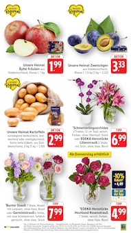 Äpfel im EDEKA Prospekt "Aktuelle Angebote" mit 45 Seiten (Pforzheim)
