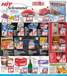 HIT Prospekt für Bad Wildbad: "ECHTE VIELFALT", 19 Seiten, 16.02.2026 - 21.02.2026