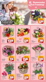 Aktueller REWE Prospekt mit Orchidee, "Dein Markt", Seite 8