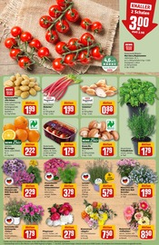 Dekoration im REWE Prospekt in Erkelenz Aktueller REWE Prospekt mit Dekoration, "Dein Markt", Seite 5