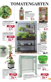 Ähnliche Angebote wie Fleischfressende Pflanzen im Prospekt "Jetzt wird's Dehner!" auf Seite 5 von Dehner Garten-Center in Fürth