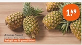 Ananas Sweet im Angebot bei tegut in Mannheim Ananas Sweet Angebote bei tegut Mannheim für 1,49 €
