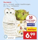 Aktuelle Zimmerpflanzen Angebote bei Netto Marken-Discount in Köln Aktuelles Hauswurz Angebot bei Netto Marken-Discount in Köln ab 6,99 €