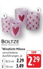 Windlicht Milena Angebote von Boltze bei E center Neustadt für 2,29 €