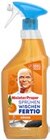 Allzweckreiniger Citrusfrische von MEISTER PROPER im aktuellen Kaufland Prospekt für 1,59 €