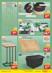 Ähnliche Kunstrasen Angebote im Prospekt "Aktuelle Angebote" von Netto Marken-Discount in Castrop-Rauxel Ähnliche Angebote wie Kunstrasen im Prospekt "Aktuelle Angebote" auf Seite 33 von Netto Marken-Discount in Castrop-Rauxel