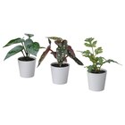 Topfpflanze, künstl/+Topf 3er-Set drinnen/draußen grün im IKEA Prospekt Topfpflanze, künstl/+Topf 3er-Set drinnen/draußen grün von FEJKA im aktuellen IKEA Prospekt für 3,99 €