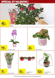 Offre Rosier dans le catalogue Carrefour du moment à la page 51