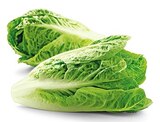 Bio Romana Salatherzen im Angebot bei REWE in Kerpen Bio Romana Salatherzen Angebote von REWE Bio bei REWE Kerpen für 1,49 €