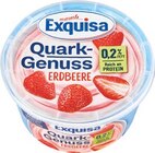 Quark-Genuss im Netto Marken-Discount Prospekt Quark-Genuss von Exquisa im aktuellen Netto Marken-Discount Prospekt für 1,49 €