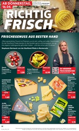 Aktueller Kaufland Prospekt mit Antipasti, "Aktuelle Angebote", Seite 22