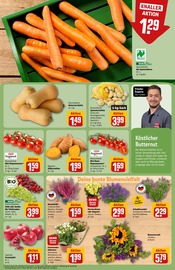 Gartenpflanzen Angebote im Prospekt "Dein Markt" von REWE auf Seite 7