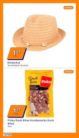 Ähnliches Angebot bei Action in Prospekt "kleine Preise, grosse Freude!" gefunden auf Seite 11