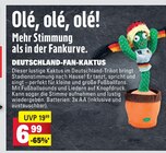 Aktuelles Deutschland-Fan-Kaktus Angebot bei Marktkauf in Filderstadt ab 6,99 €