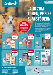Hundefutter im ZooRoyal Prospekt in Hamburg Aktueller ZooRoyal Prospekt mit Hundefutter, "LAUB ZUM TOBEN, PREISE ZUM STÖBERN", Seite 1
