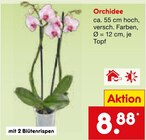 Orchidee im Angebot bei Netto Marken-Discount in Reutlingen Orchidee Angebote bei Netto Marken-Discount Reutlingen für 8,88 €
