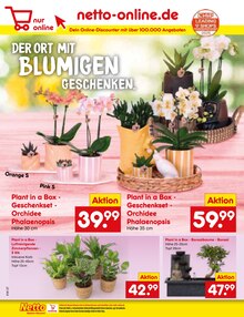 Zimmerpflanzen im Netto Marken-Discount Prospekt "Aktuelle Angebote" mit 58 Seiten (Mannheim)