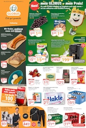 Aktueller GLOBUS Prospekt mit Bier, "Aktuelle Angebote", Seite 1