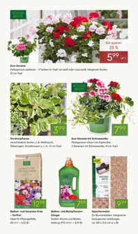 Teppichboden im Pflanzen Kölle Prospekt "FRÜHLINGS-FREUDE" mit 16 Seiten (Heilbronn)