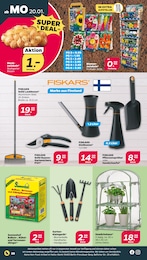 Gartenschere Angebot im aktuellen Netto mit dem Scottie Prospekt auf Seite 20