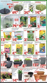 Tequila im Wreesmann Prospekt in Zwickau Aktueller Wreesmann Prospekt mit Tequila, "DEIN SAISON- & SONDERPOSTENMARKT!", Seite 4