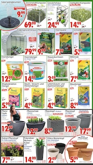 Gewächshaus im Wreesmann Prospekt "DEIN SAISON- & SONDERPOSTENMARKT!" mit 12 Seiten (Dresden)