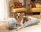 Coussin pour chien été-hiver Premium - ZOOFARI en promo chez Lidl Coussin pour chien été-hiver Premium - ZOOFARI dans le catalogue Lidl
