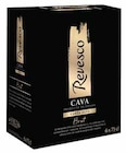 DO Cava Brut - REVESCO - Intermarché à Gap DO Cava Brut - REVESCO en promo chez Intermarché Gap à 20,39 €