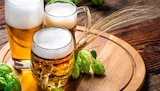 Aktuelle Warsteiner Angebote bei nahkauf in Wetzlar Aktuelles Pils Angebot bei nahkauf in Wetzlar ab 10,99 €