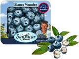 Heidelbeeren im Angebot bei REWE in Bottrop Heidelbeeren Angebote von San Lucar bei REWE Bottrop für 1,99 €