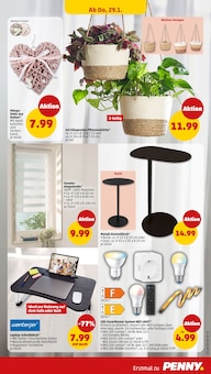 Blumentopf im Penny Prospekt "Wer günstig will, muss Penny." mit 46 Seiten (Koblenz)