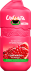 Promo GEL DOUCHE HYDRATANT GRENADE USHUAIA à 2,69 € dans le catalogue Auchan Hypermarché à Semécourt