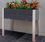 WPC-Hochbeet Balkon Angebote bei toom Baumarkt Salzgitter für 24,99 €